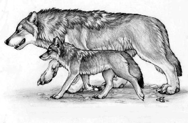 басня-крылова-волк-и-волчонок